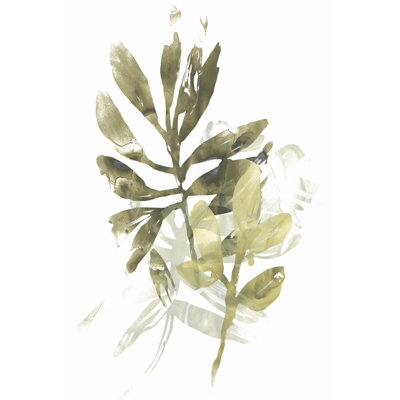 Lichen & Leaves III by June Erica Vess - Wrapped Canvas Print