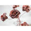 Ensemble de jeu de fleurs de jardin 6 pièces fleur program