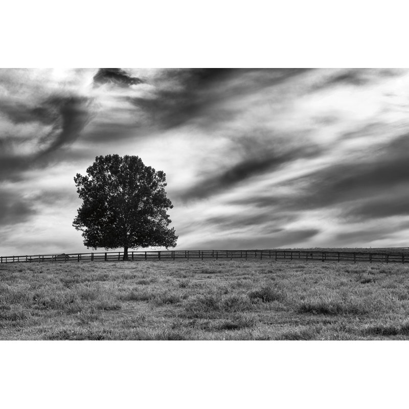 Majestic Crop by Aledanda - Wrapped Canvas Print, 20cm H x 30cm W x 3.8cm D