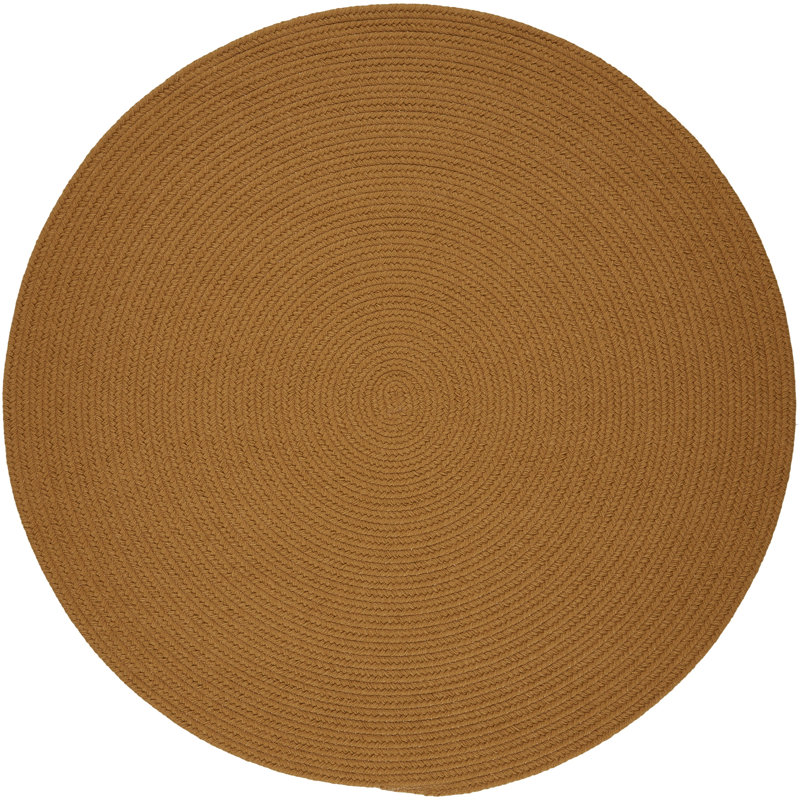 Smyth Hand Braided Synthetic Indoor Rug, Round 10'