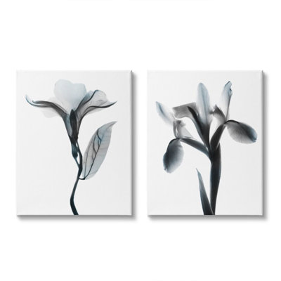 «Opaque Oleander Silhouette Minimal Nautical Floral» par Albert Koetsier - ensemble de 2 reproductions d'art