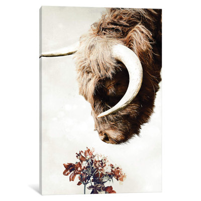 Highlander 1 Piece Wrapped Canvas Wall Art