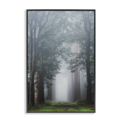 Giclée encadrée de Calm Forest Clearing, design par Martin Podt