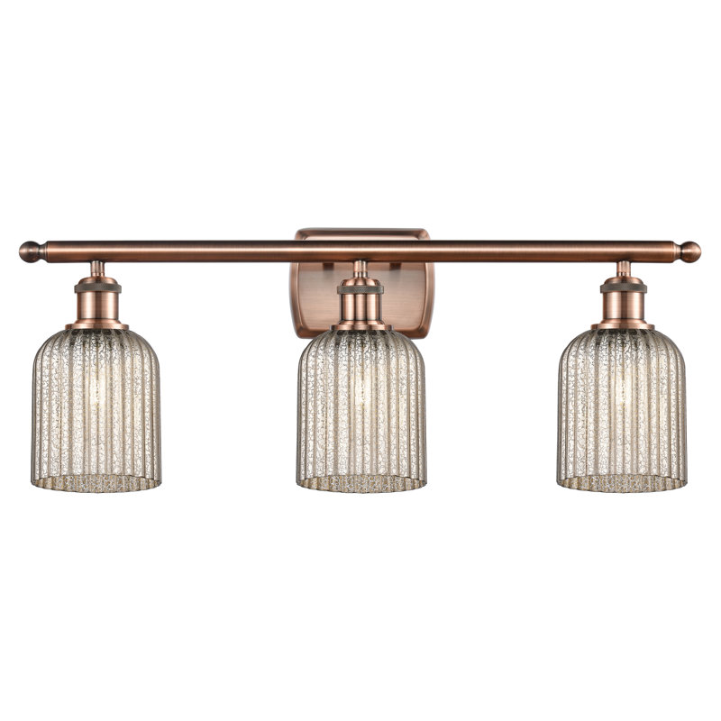 Brion Addeline 3 Light 25" Bath Vanity  Shade, Antique Copper, Seedy