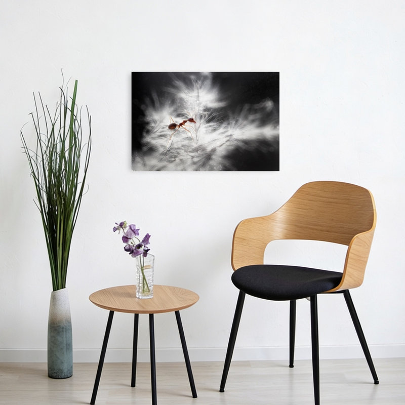 Red Ant On Dandelion Seed Delicate Dreamy Ethereal Ant Dandelion Nature Wall Art Print 1 Piece Wrapped Canvas Wall Art