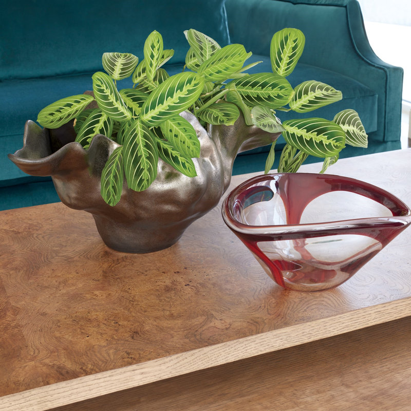 Enigma Bowl, Red