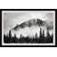 Forest On Fog - Single Picture Frame Print-701440143