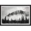 Forest on Fog 1 Piece Single Picture Frame Wall Art-701440137