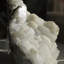 Gyrolite botryoïde avec apophyllite cubique