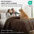 Southshore Fine Linens Vilano Down Alternative Comforter, 240 GSM Double-Brushed Microfiber Oversized All-Season Comforter with Box Stitching, Piped Edges and Corner Tabs, Full/Queen, Chocolate Brown-420232239-420232233