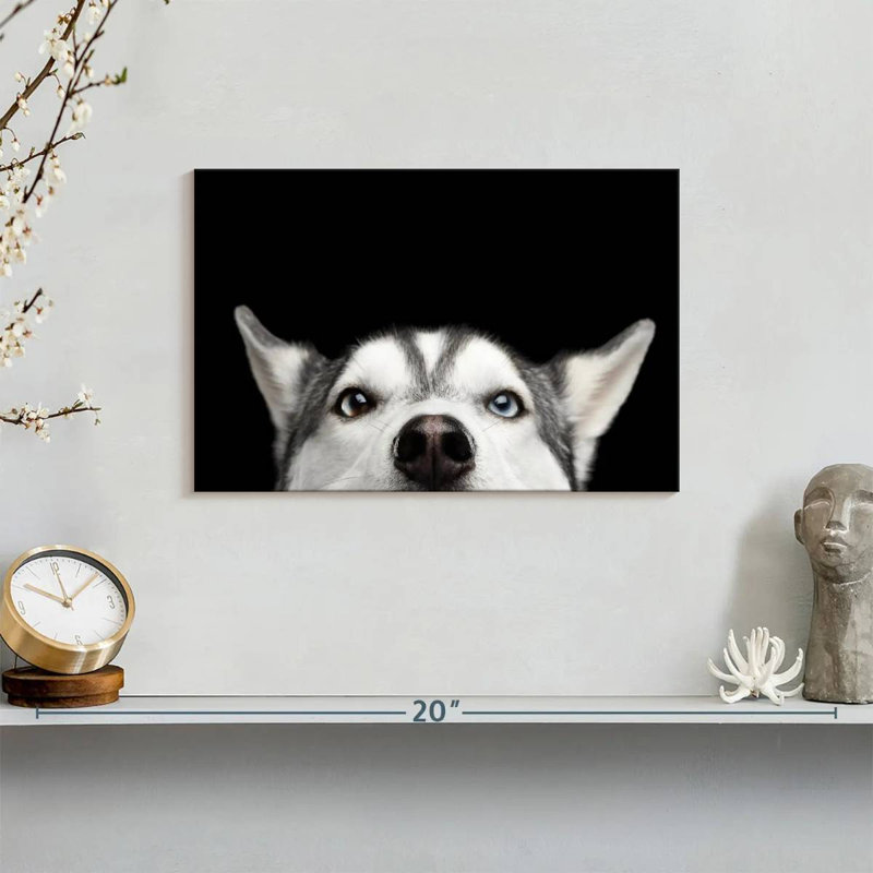 Peeking Husky sibérien, H 8 po x l 12 po