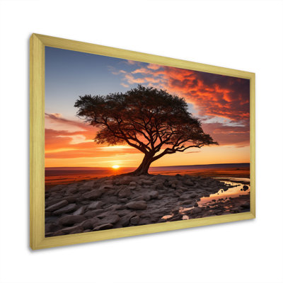 " Peach Black Maasai Mara National Reserve Sunset "
