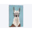 « llama spec i », art sur toile-32563615-72142011-72142012