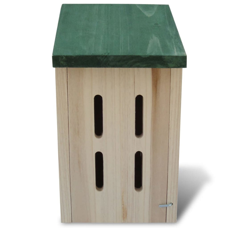 Borisas Mounted Butterfly House