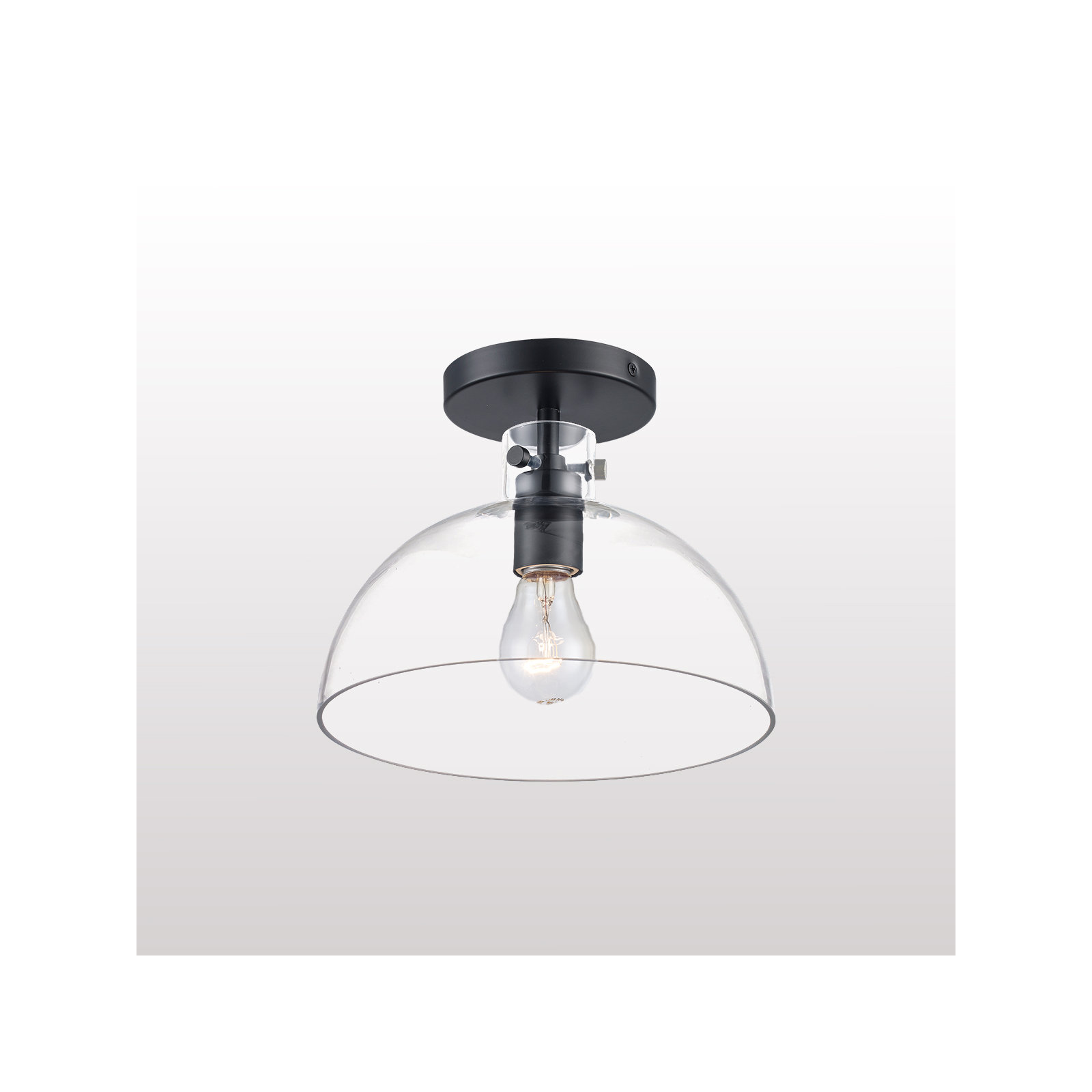 Martins Single Light Glass Semi Flush Mount, Black