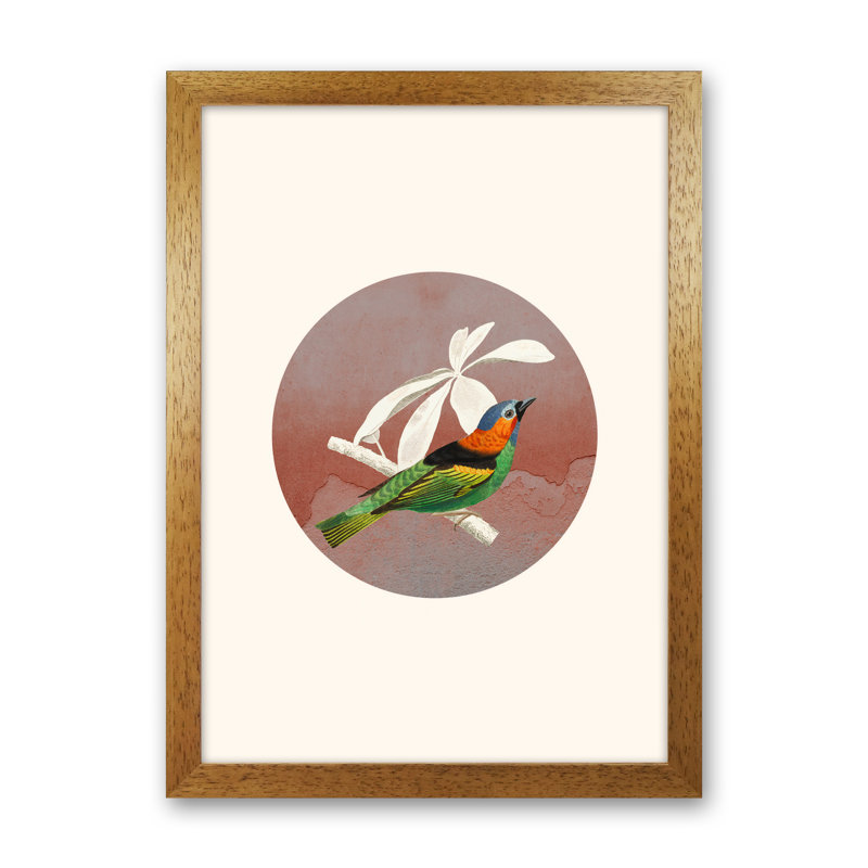 Bird Collage II 1 Piece Wall Art, 88cm H x 64cm W x 3cm D, Brown Framed