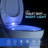 Round Toilet Seat and Lid
