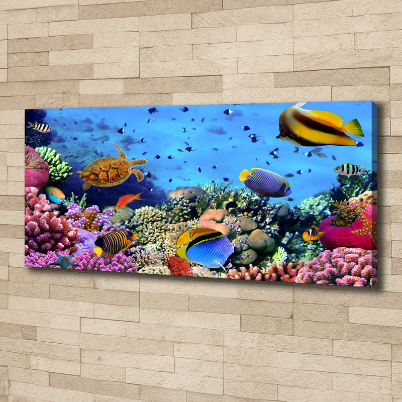 Coral Reef - No Frame Print on Canvas