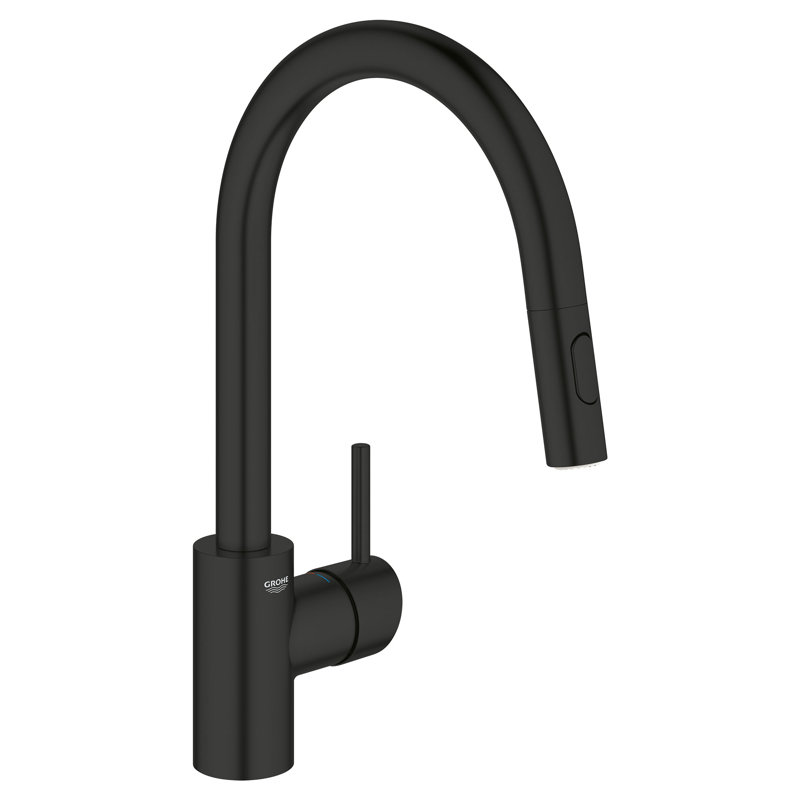 Concetto™ Single Handle Kitchen Faucet with Accessories, Does Not Apply, Matte Black