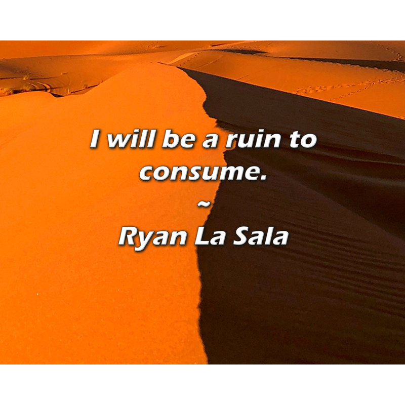 Citation de Ryan La Sala: Je serai une ruine à consommer., H 20 po x l 24 po