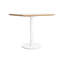 Easy Dining Table-74747959-107232007