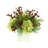 Hydrangea, Berries and Pine Holiday Floral