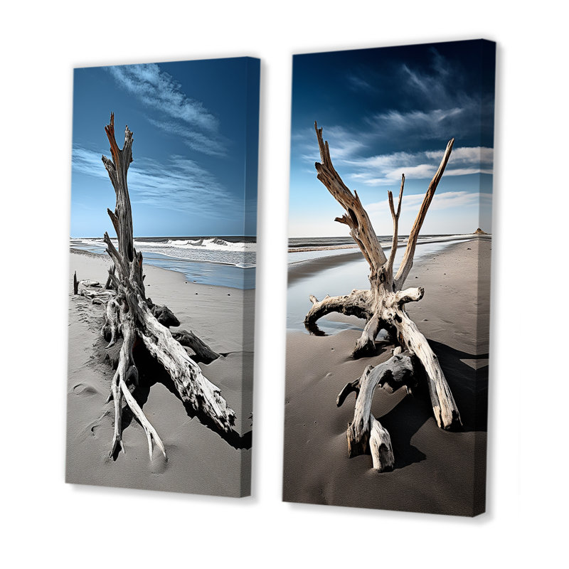 «Beach Driftwood Photo», 2 pièces sur toile, Toile tendue, H 20 po x l 24 po
