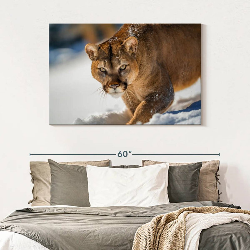 Brampt Cougar In Snow, 32" H x 48" W