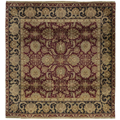 Crown Wool Oriental Area Rug in Brown