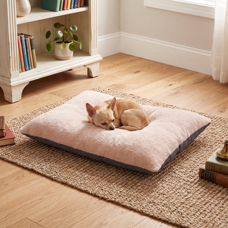 Lit pour chien Zenith Rose / Anthracite, 19.7, Gris anthracite