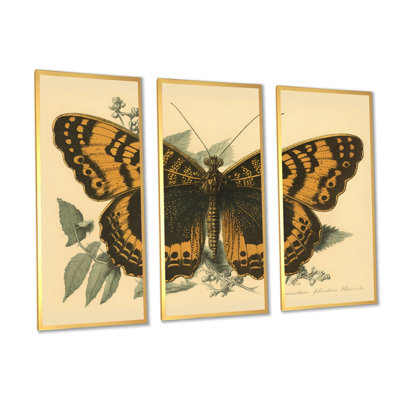Illustration rétro de papillons I - animaux, ensemble d'art mural sur toile_80512