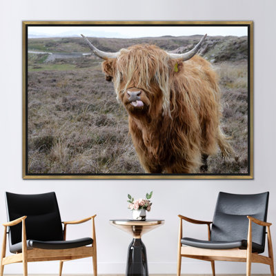 Print on Canvas