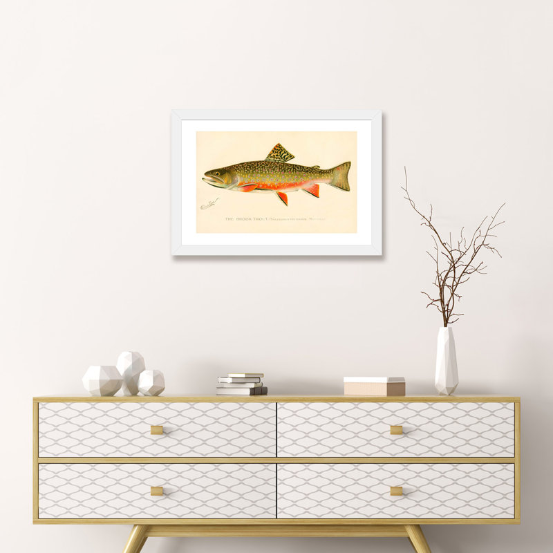 The Brook Trout - impression d'art graphique, H 16 po x l 24 po x P 1 po, Papier encadré blanc