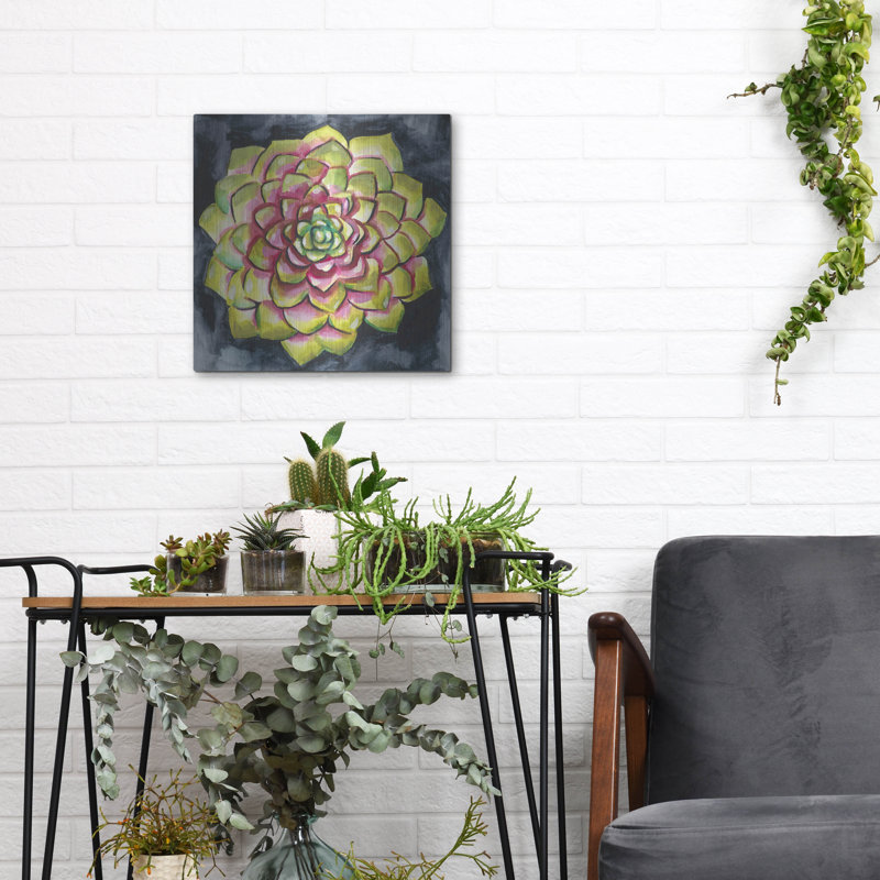  «Succulent Rosette 3» par Chariklia Zarris, art mural en métal, 12 po x 12 po, H 12 po x l 12 po