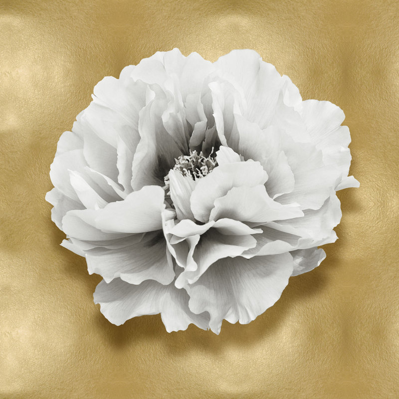 Pure III by Caroline Kelly - Wrapped Canvas Print, 122cm H x 122cm W