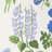Carly Fabric