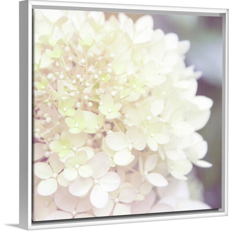Hydrangea Dream I, art mural sur toile, H 36 po x l 36 po x P 1,75 po, Toile avec cadre blanc