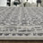 Chander Indoor Rug-2096474676