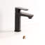 Flou Single Hole Bathroom Faucet with Drain Assembly-48482015