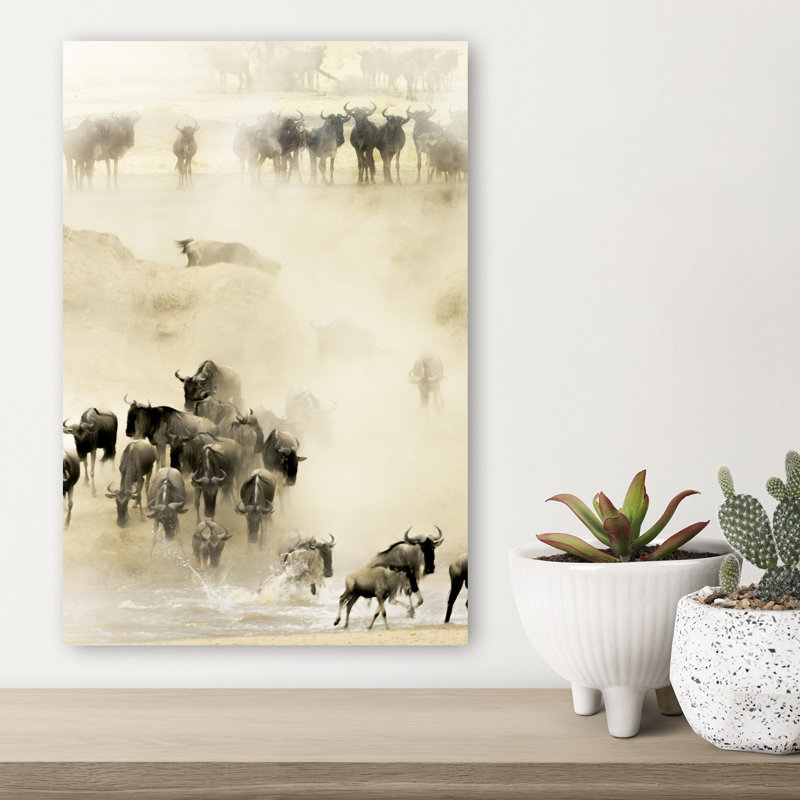 Gnous, passage, impression dramatique, animal contemporain contemporain, impression, H 18 po x l 12 po