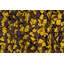 Ayoka Wool Abstract Area Rug in Gold And Yellow-1634264591