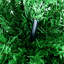 5' Artificial Pencil Christmas Tree, Slim Xmas Tree With 294 Realistic Branch Tips And Plastic Stand, Light-1001611549