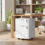 HOMCOM Mobile File Cabinet Wheels 2 Drawer-1172339611