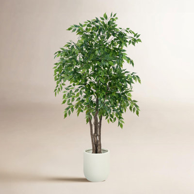 Faux Ficus Tree In White Planter, Lifelike Artificial Ficus Plant For Indoor And Outdoor Decor