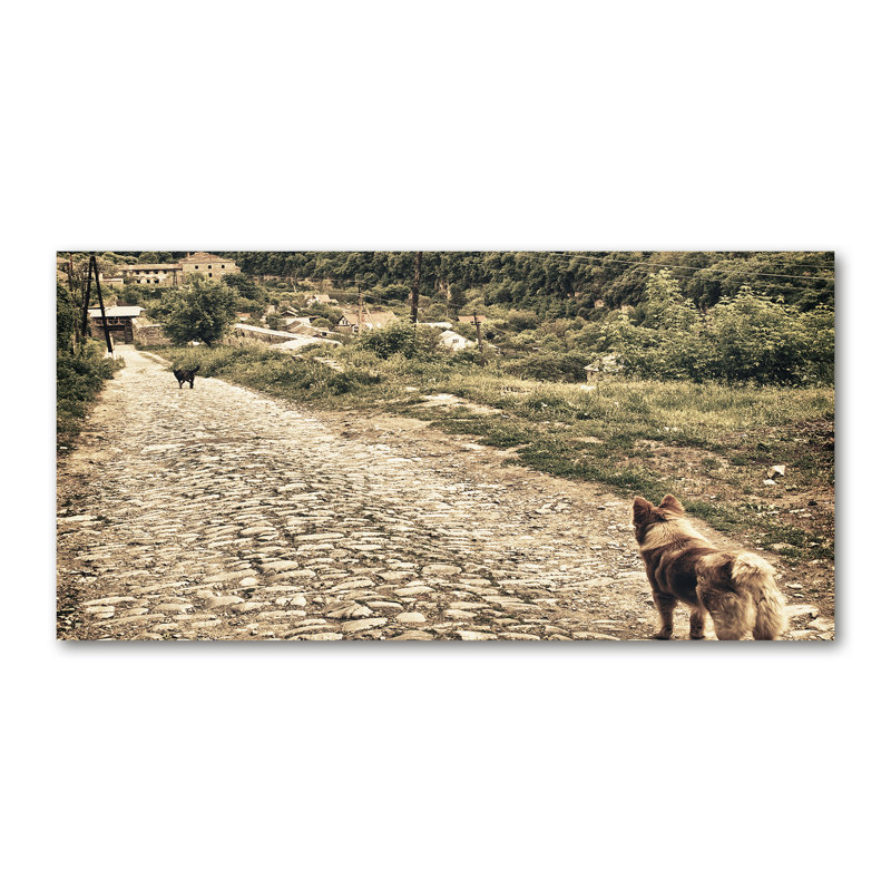 Descanso 50cm W x 100cm L Glass Peel and Stick Panel