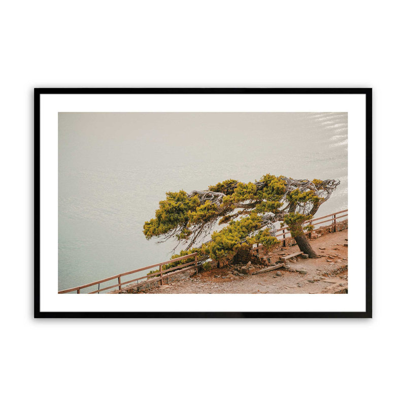 Motif de beauté balayée par le vent, H 12 po x l 15 po x P 1,25 po, Cadre photo noir satiné