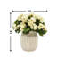 Arrangement de bégonia mélangé dans un pot-2143584855