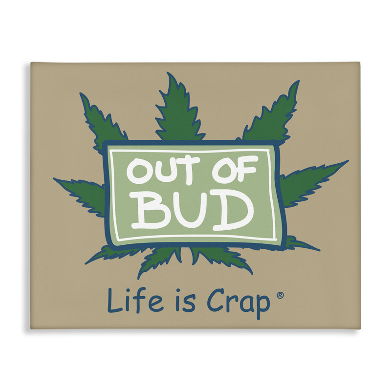«Funny Out Of Bud», art mural sur toile par LIC, H 30 po x l 40 po