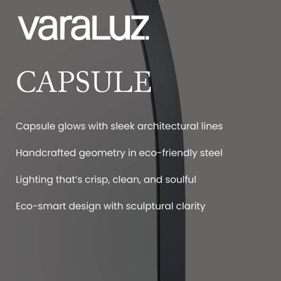 Capsule Wall Mirror - 24"W x 60"H Mirror - Black