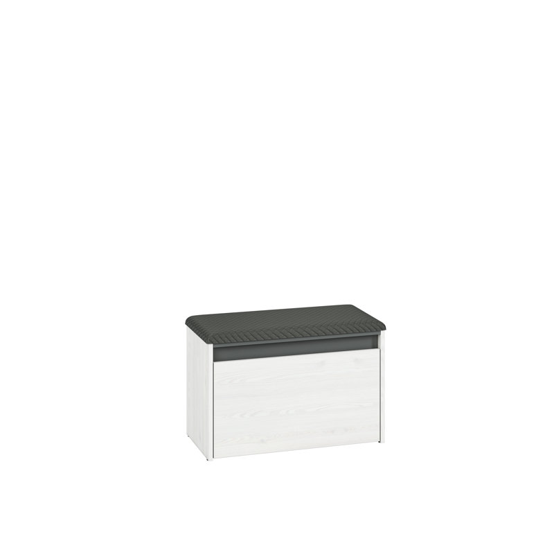 Azaneth 6 Pair Shoe Storage Cabinet